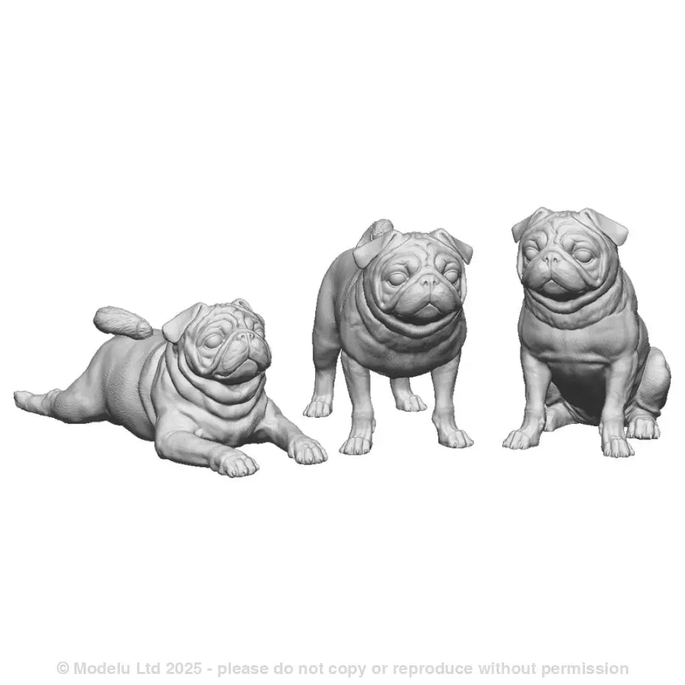 31017 Pugs
