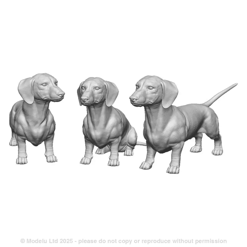 31019 Dachshund