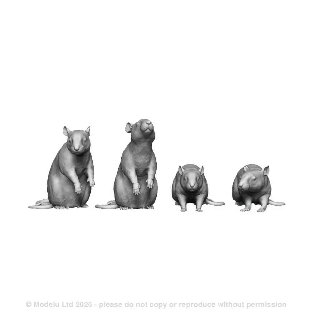 A pack of rats x6