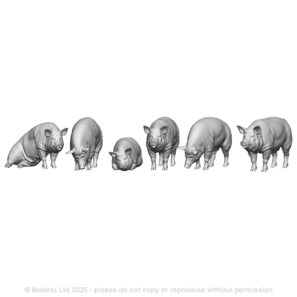 A pack of pigs x6