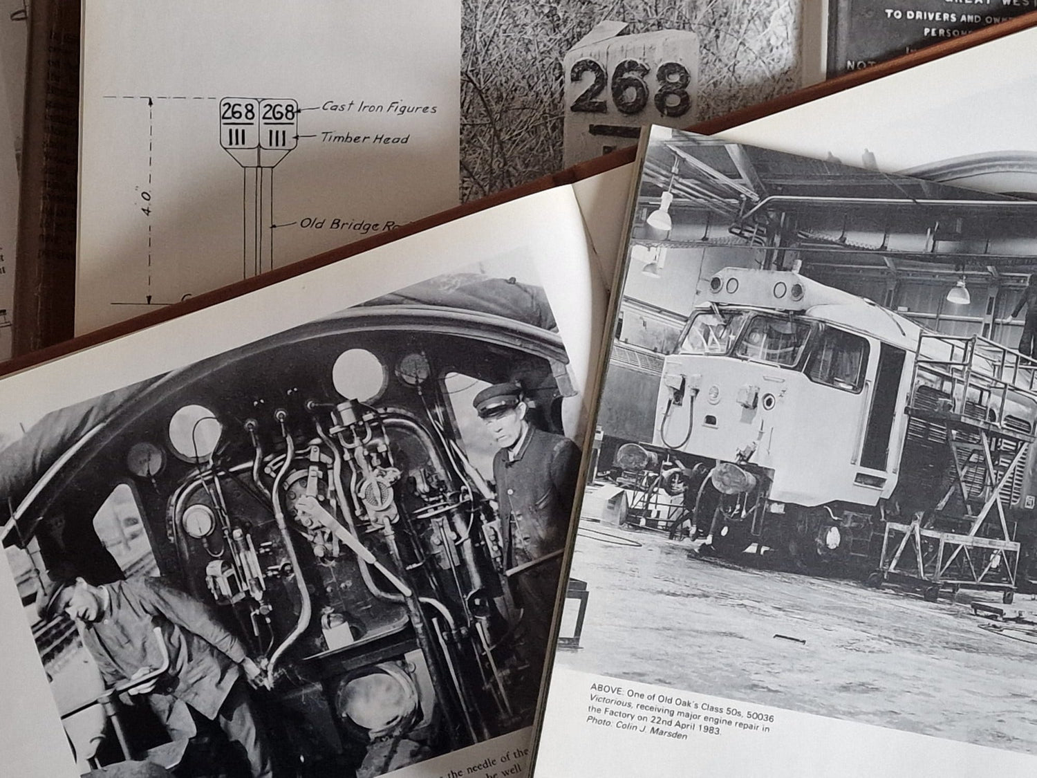  Modelu Product Survey 2026 - Help shape the next Modelu figures