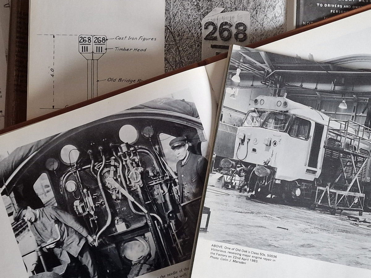  Modelu Product Survey 2026 - Help shape the next Modelu figures