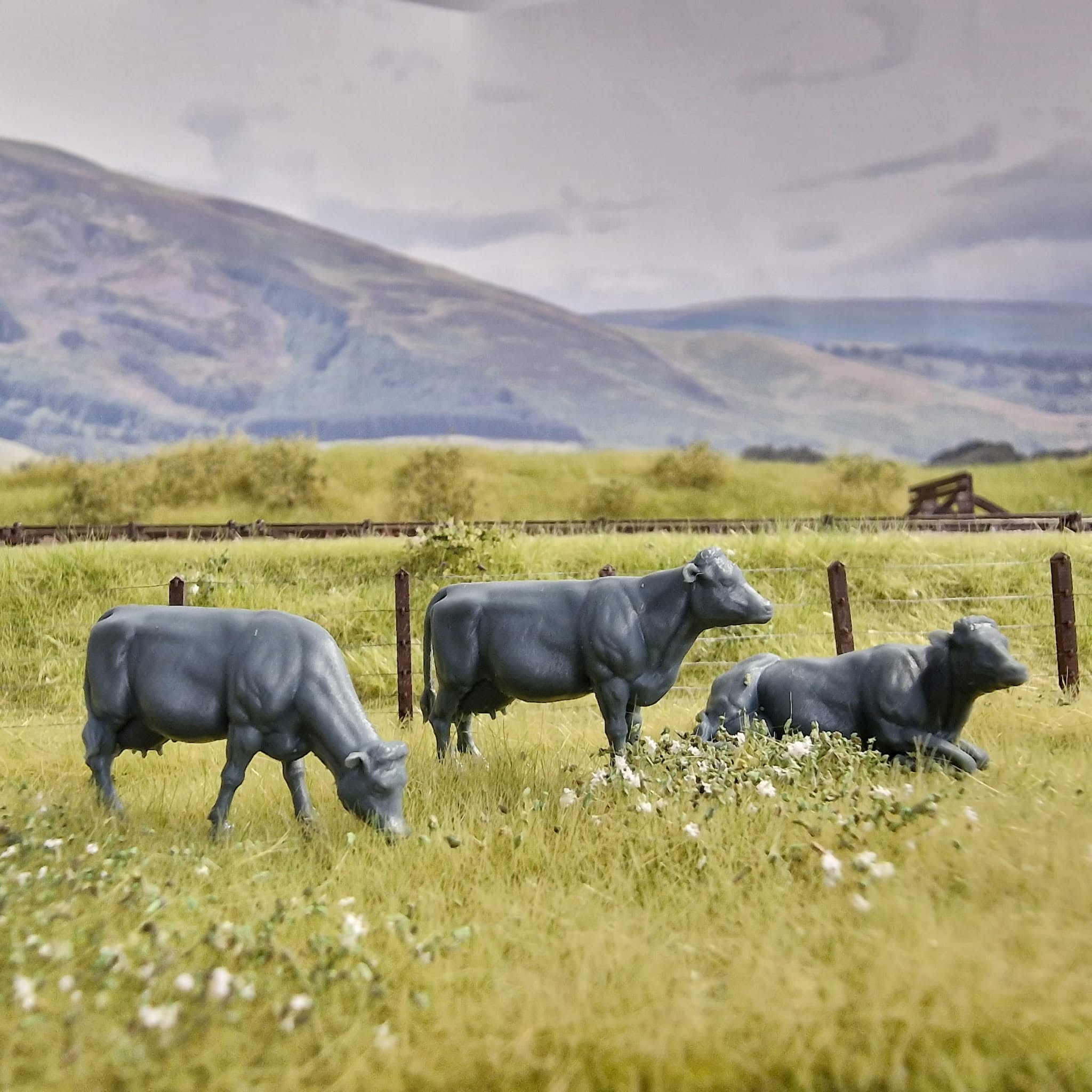 Farm Animals