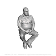 A loco driver seated