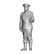 A WWI British Sergeant