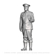 A WWI British Sergeant