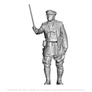 A WWI British Lieutenant Colonel