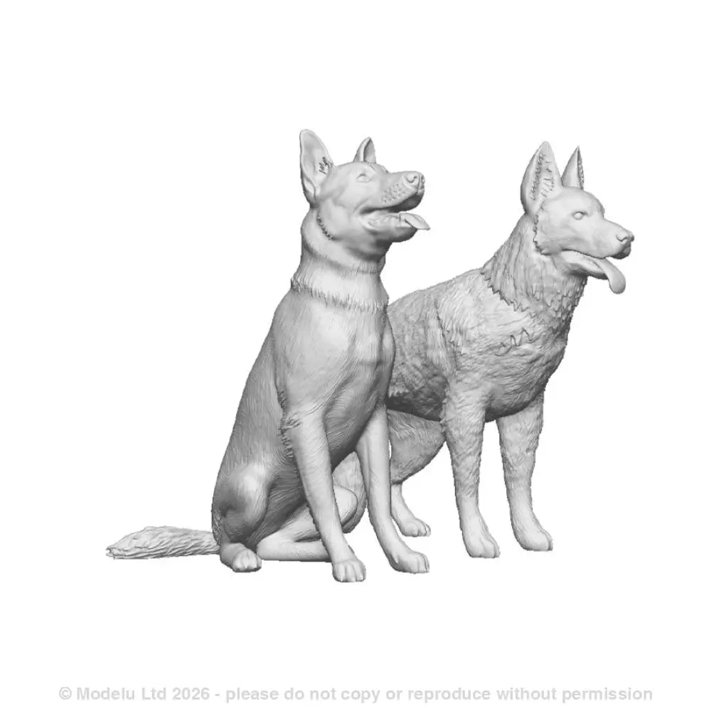 A pack of german shepherds x2