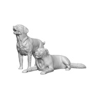 A pack of labradors x2