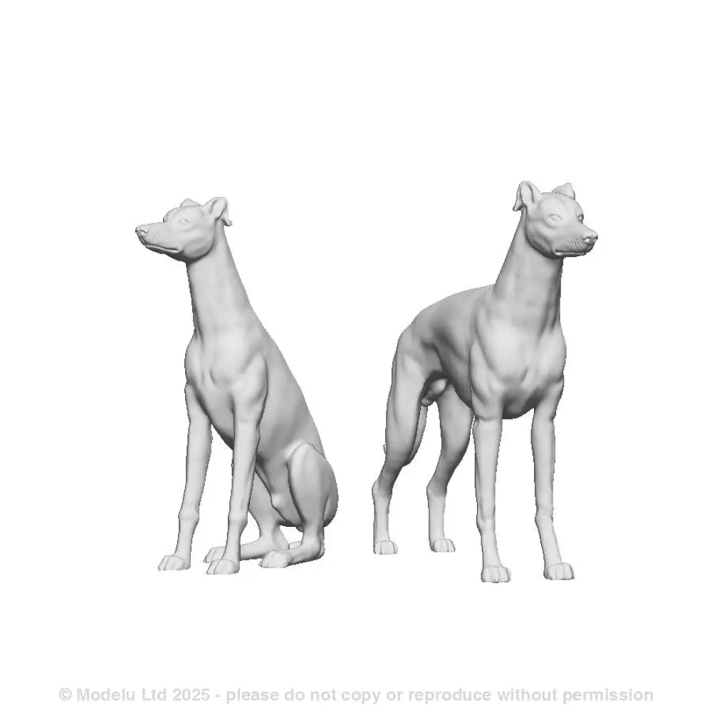 A pack of greyhounds x2