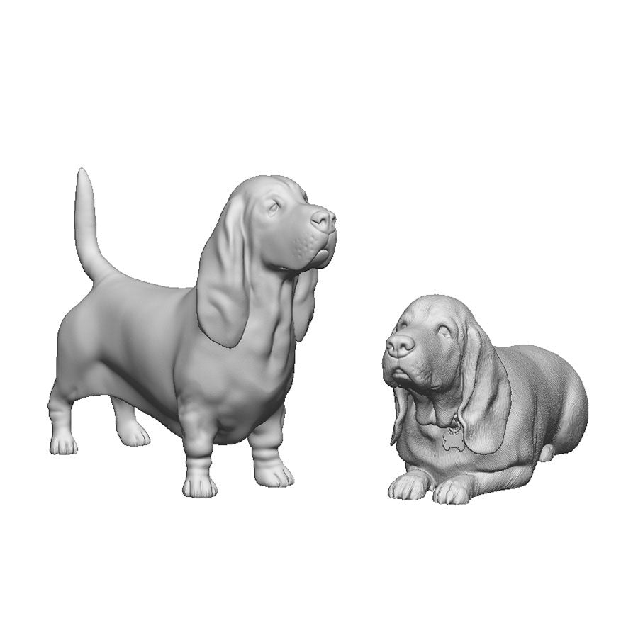 A pack of basset hounds x2