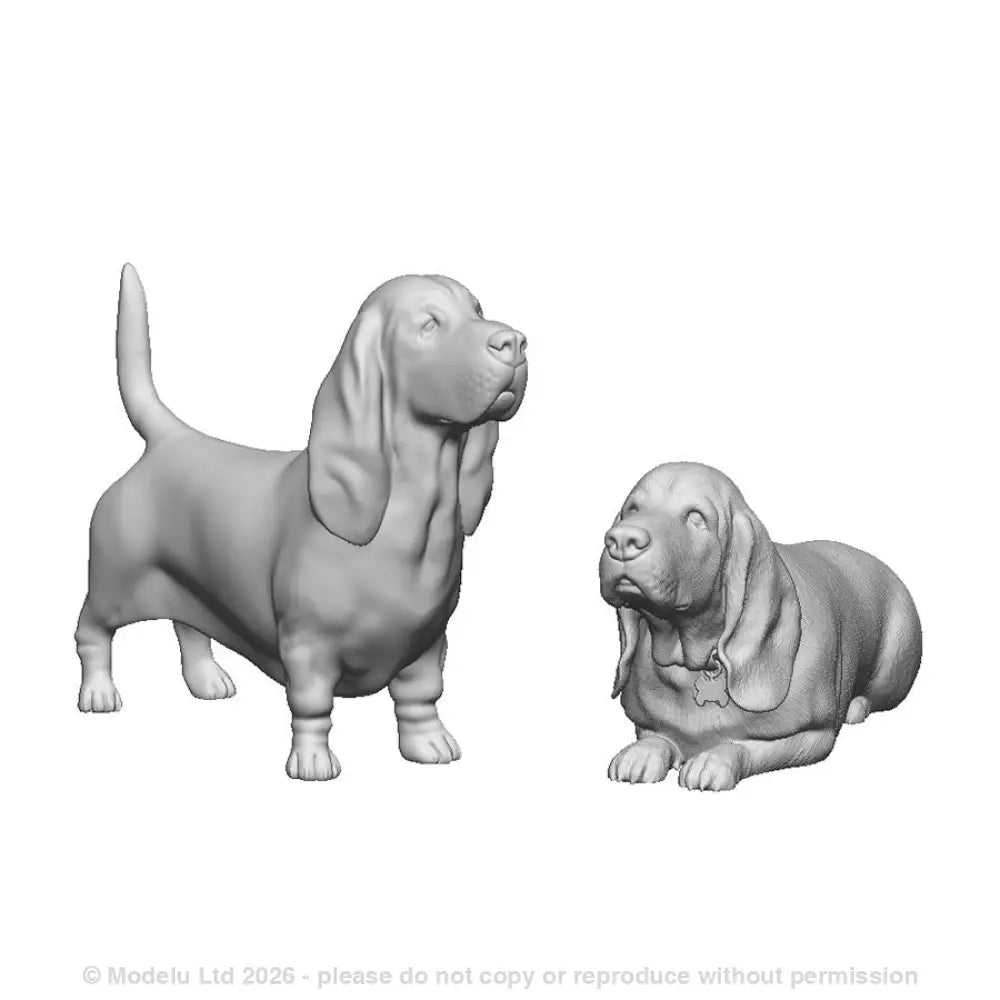 A pack of basset hounds x2