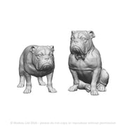 31016 English Bulldog