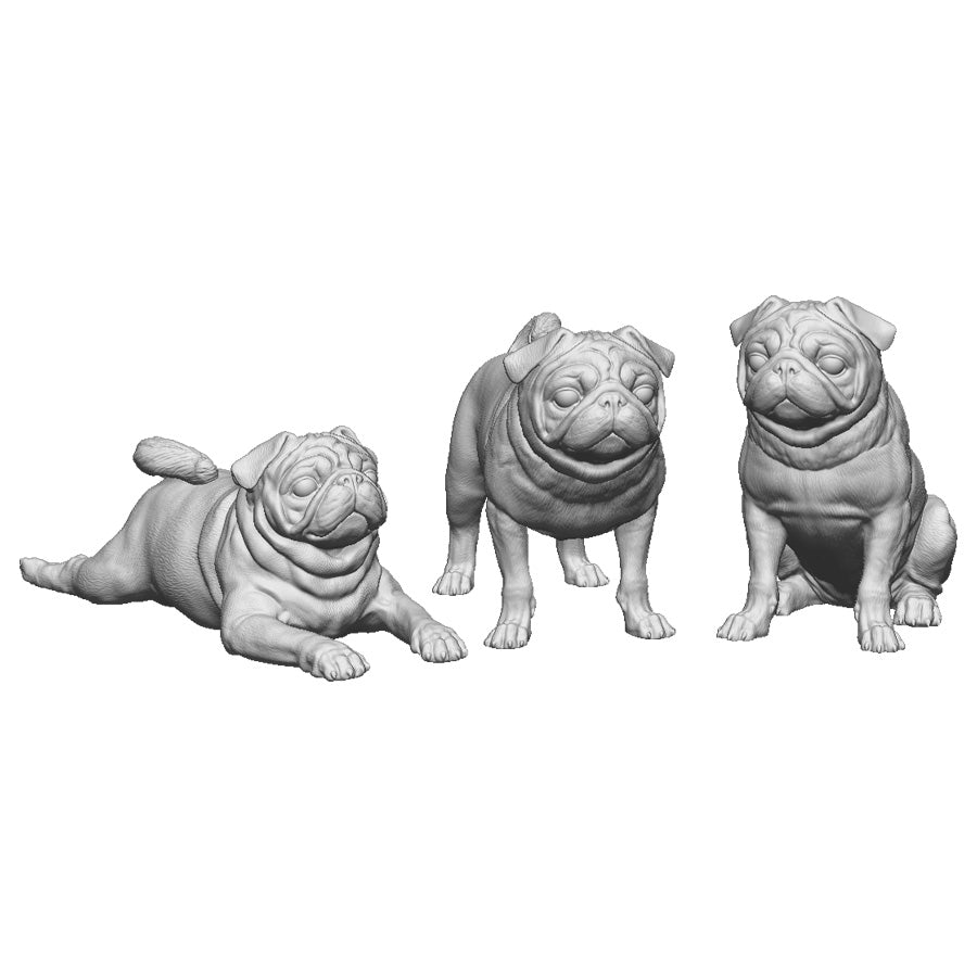 31017 Pugs