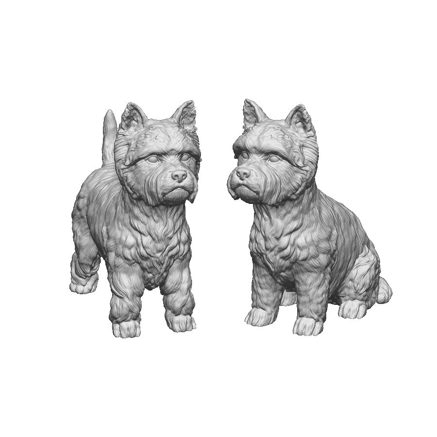 31018 West Highland Terriers