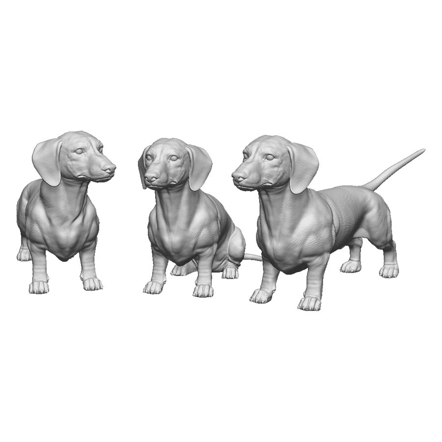 31019 Dachshund 