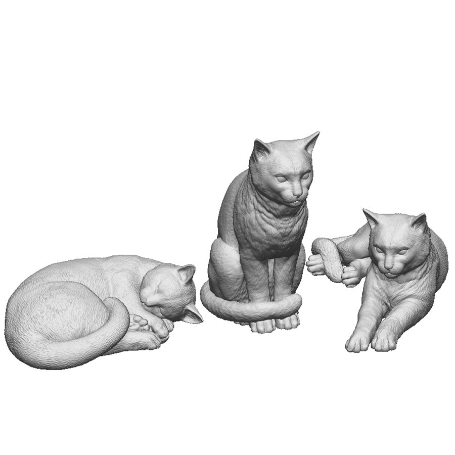 A pack of tabby cats x3