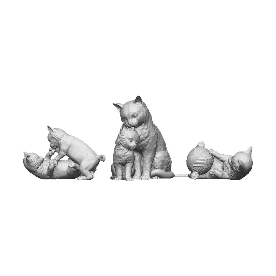 A pack of kittens