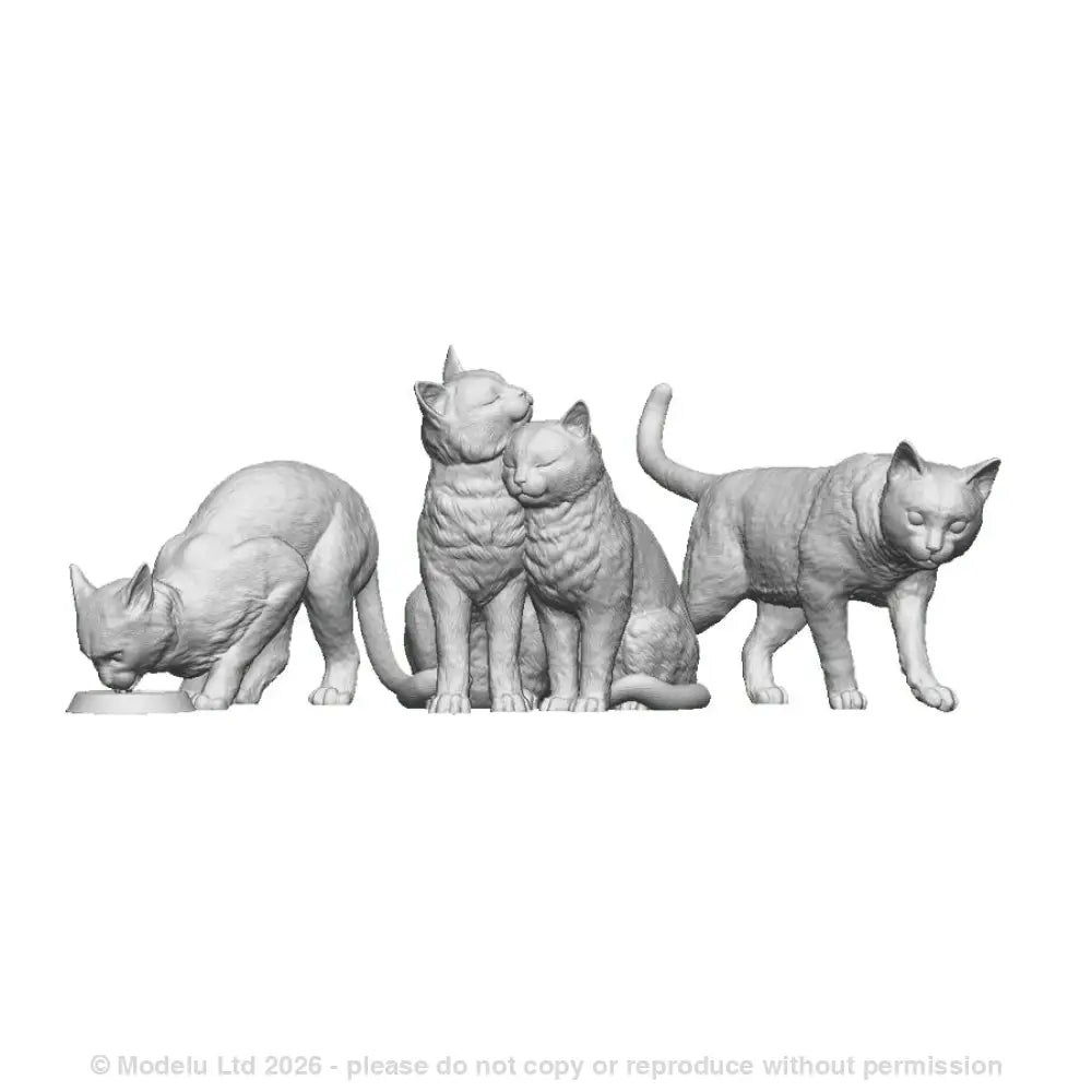 A pack of cats