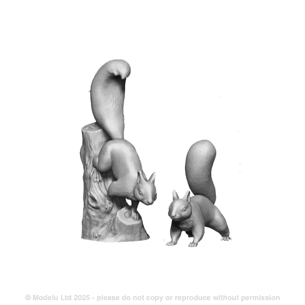 A pack of squirrels x4