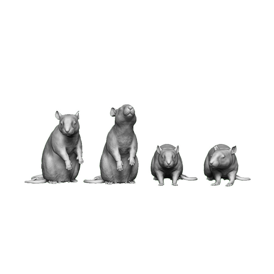 A pack of rats x6