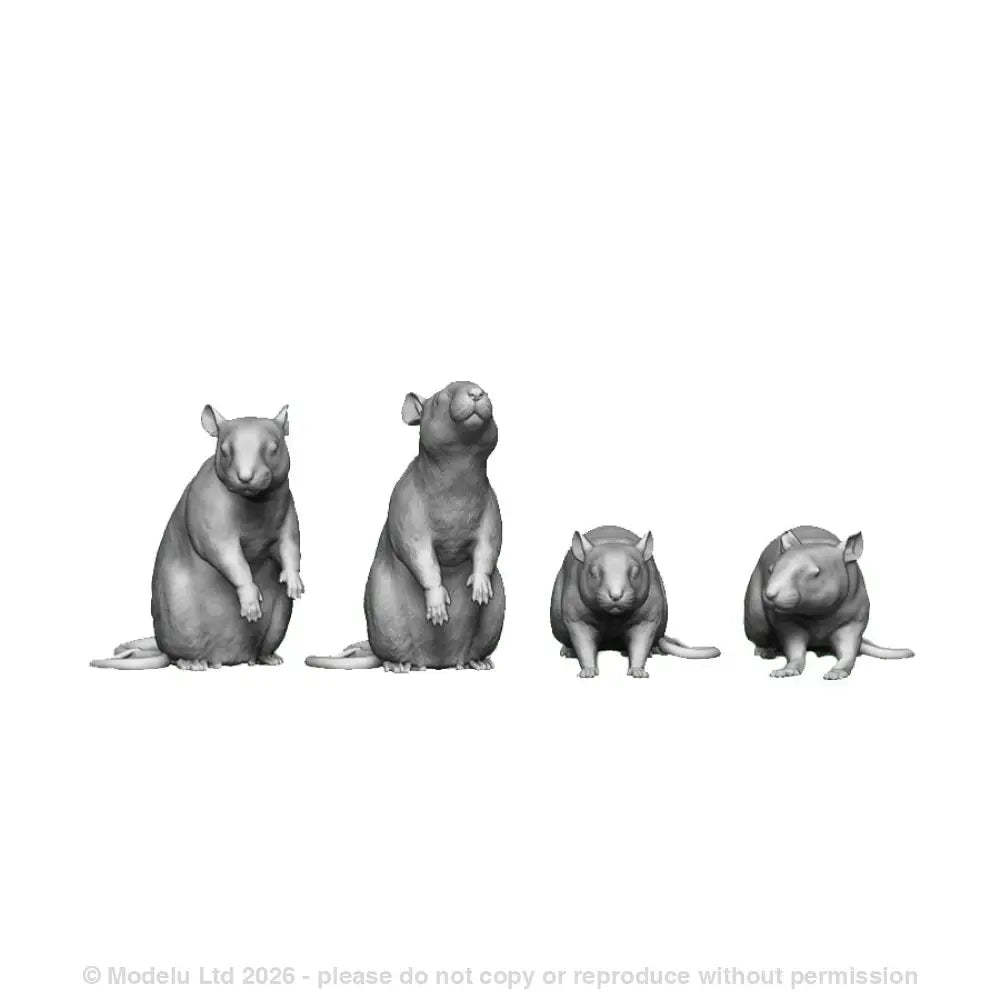 Simons Rat Models Wildlife – Modelu