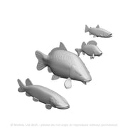 31150 Fresh Water Fish