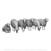 A pack of sheep x6