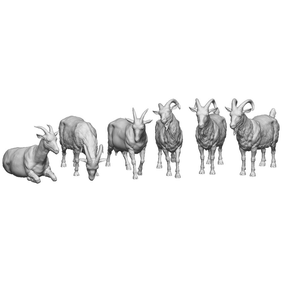 31210 Goats