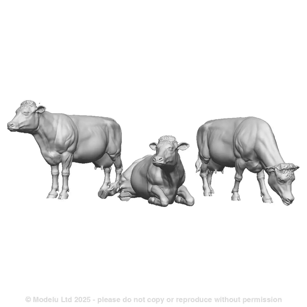 A pack of dairy cattle