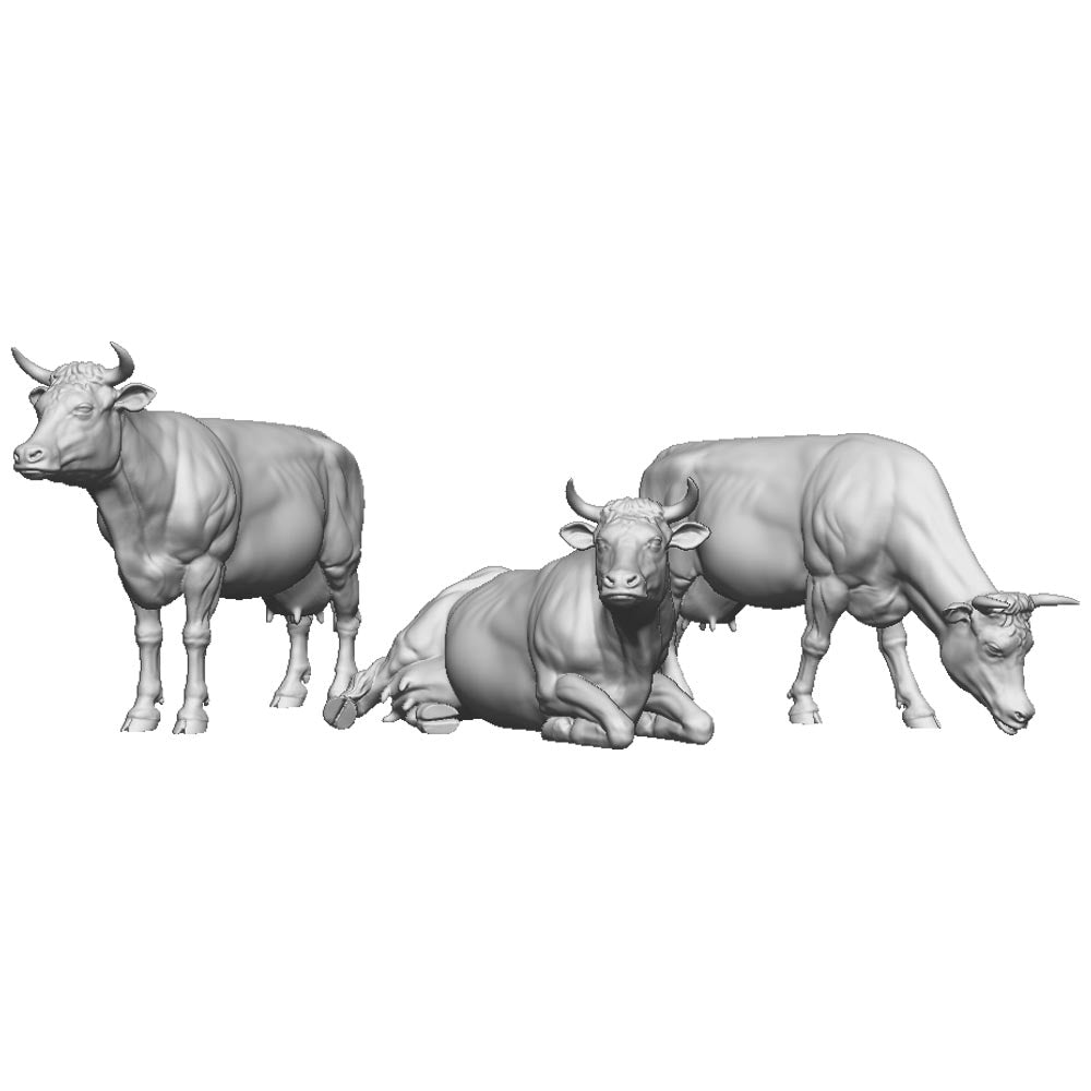 A pack of dairy cattle with horns
