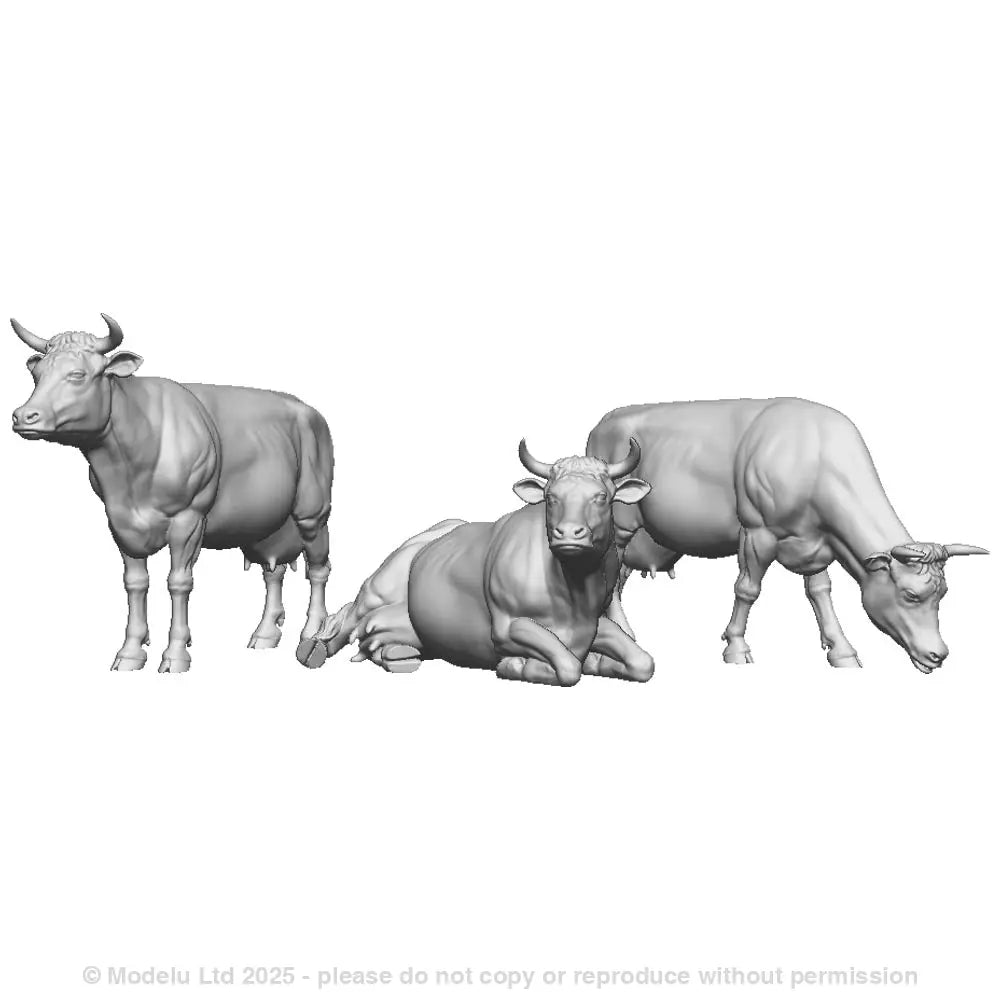 A pack of dairy cattle with horns