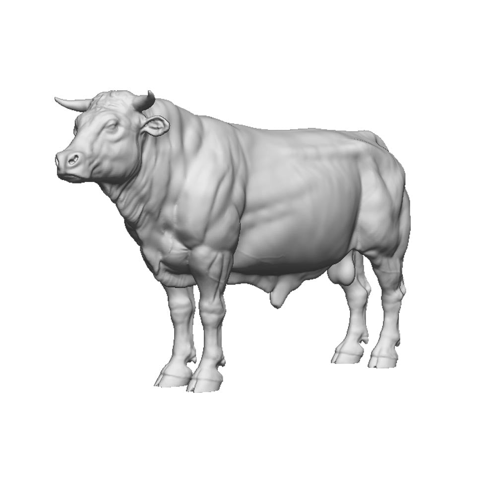 A bull with horns