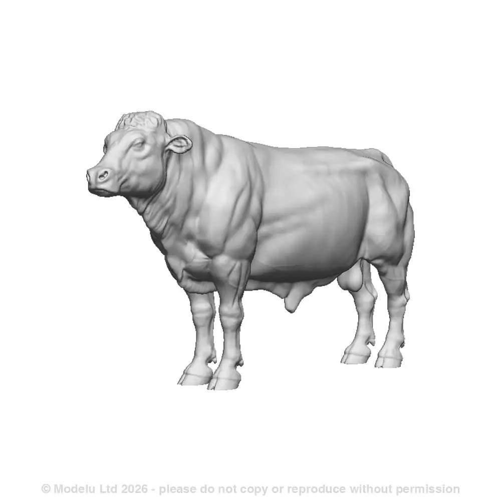 A bull