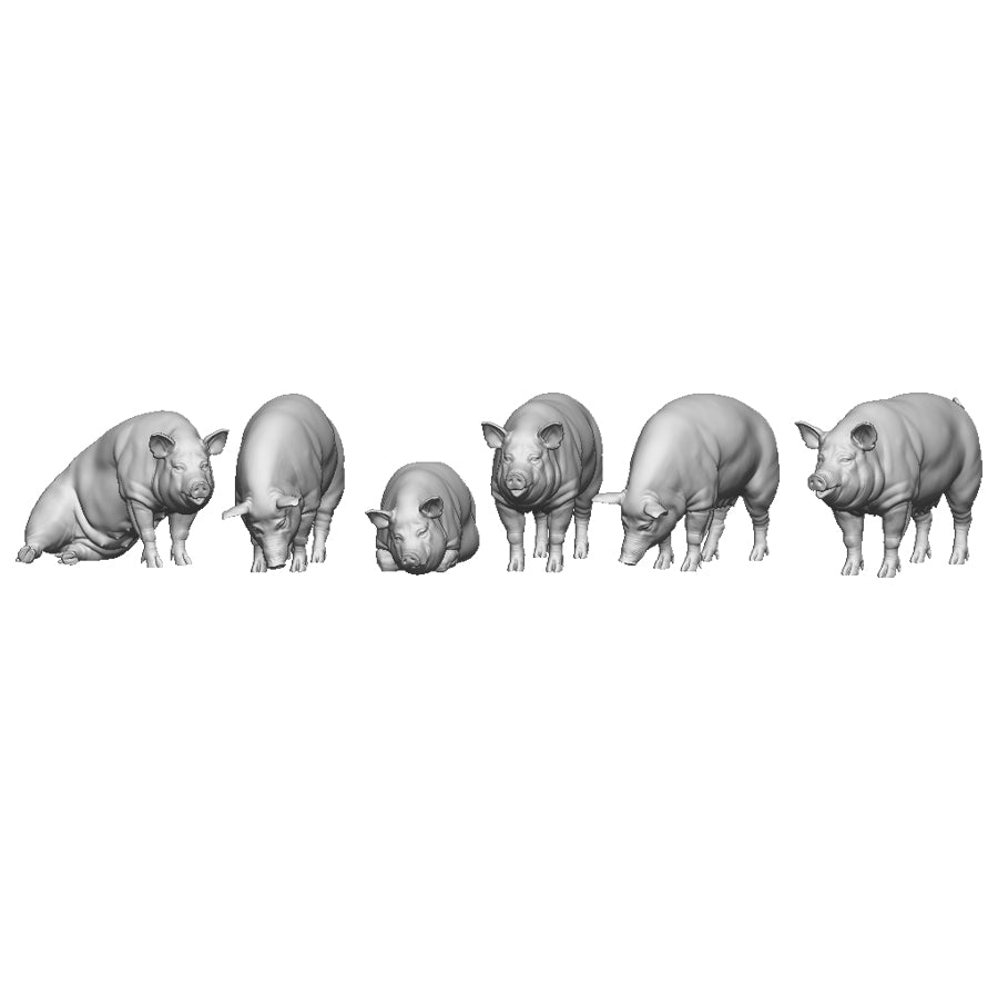 A pack of pigs x6