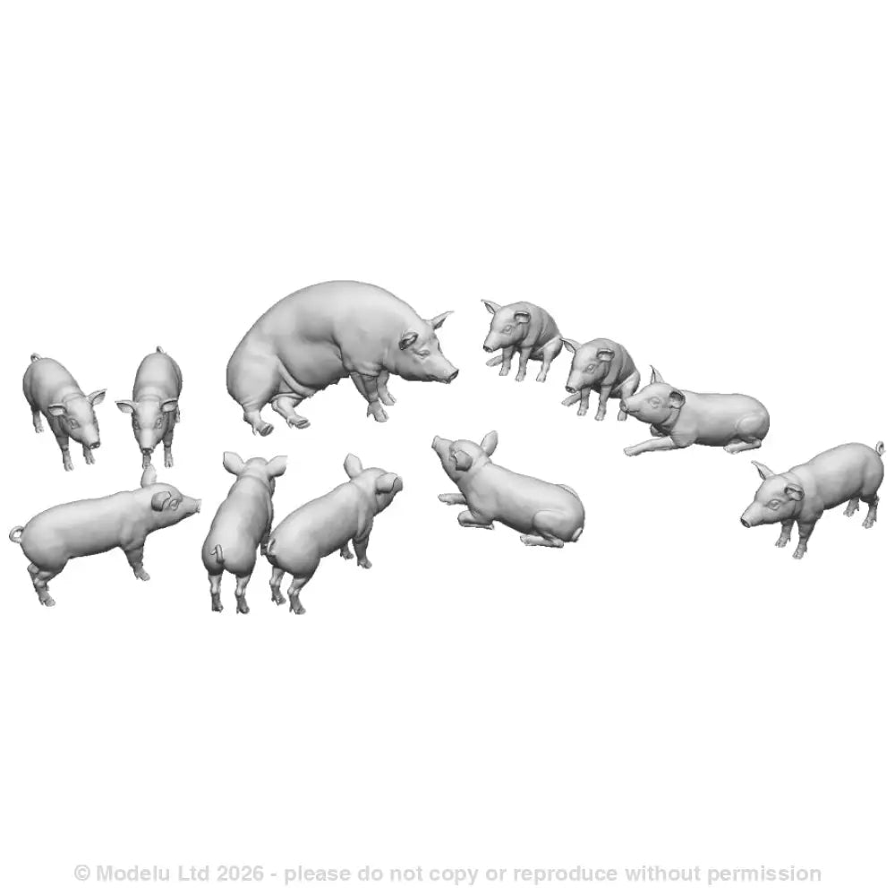 A pack of piglets and sow
