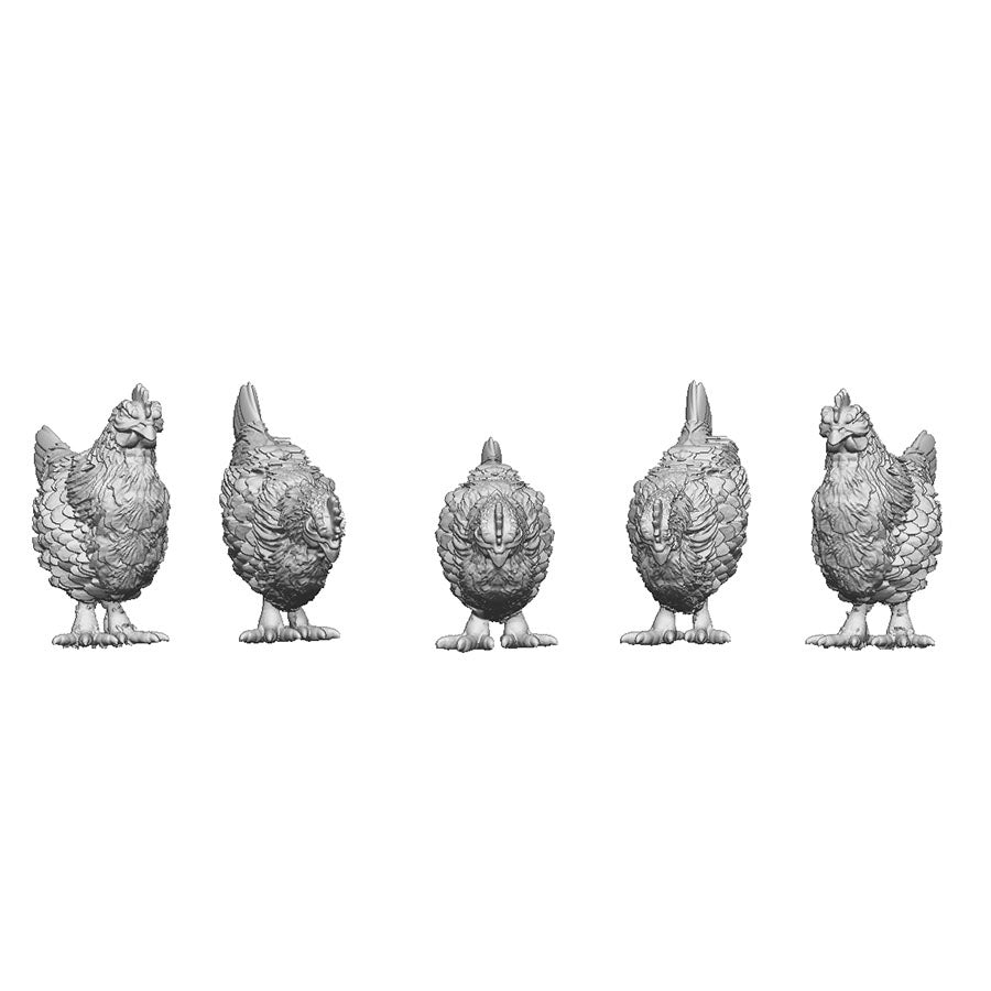 A pack of chickens x5