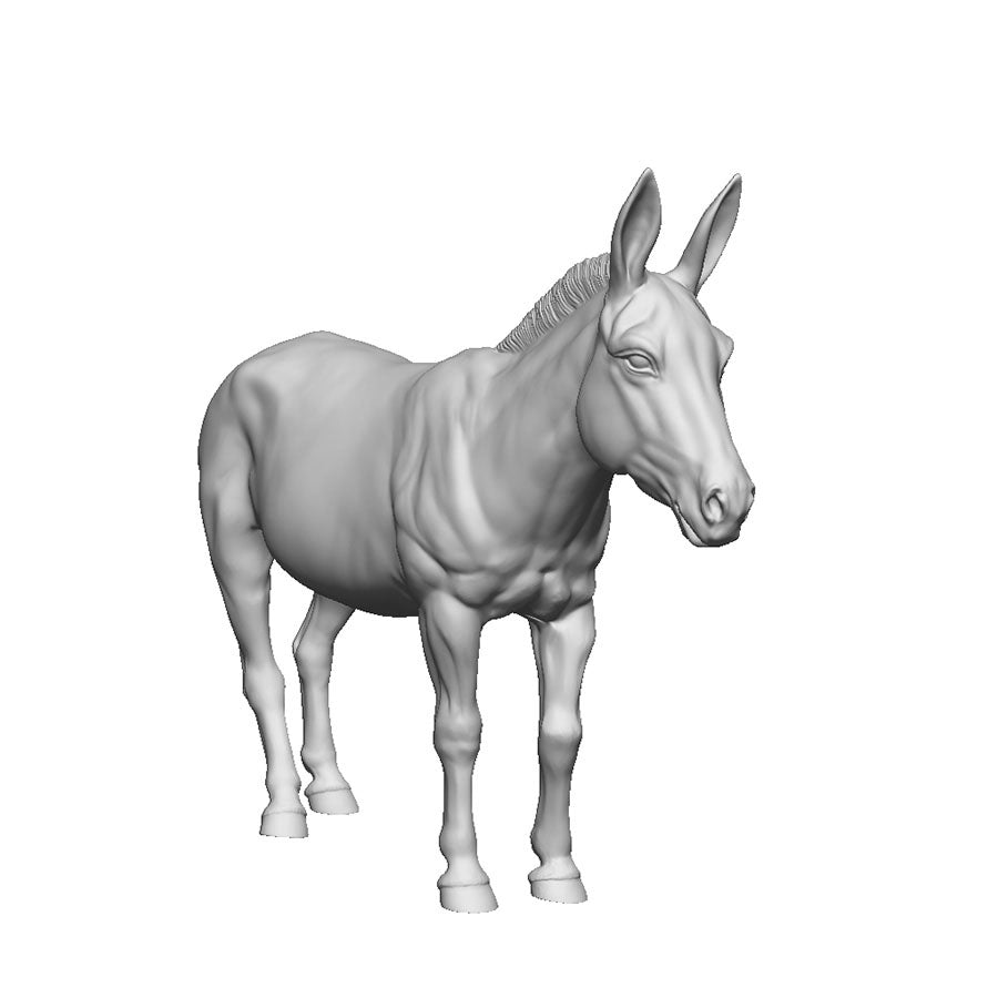 A donkey