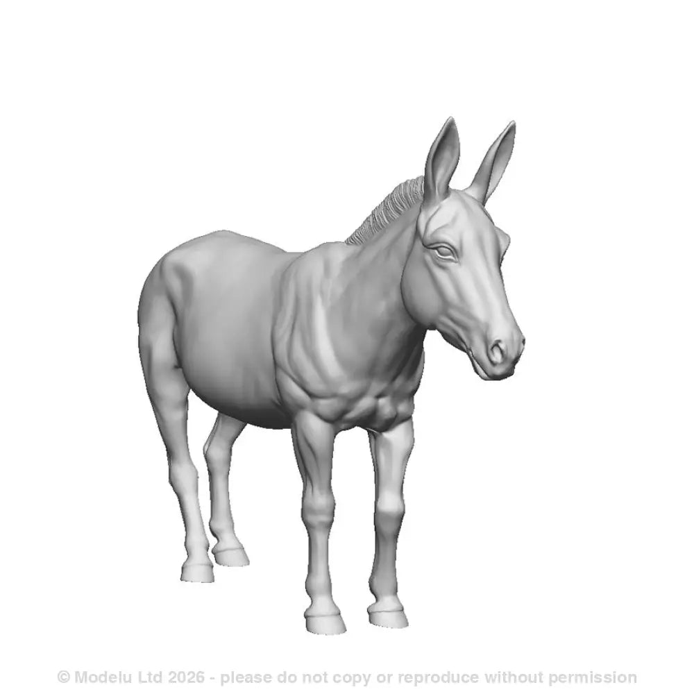 A donkey