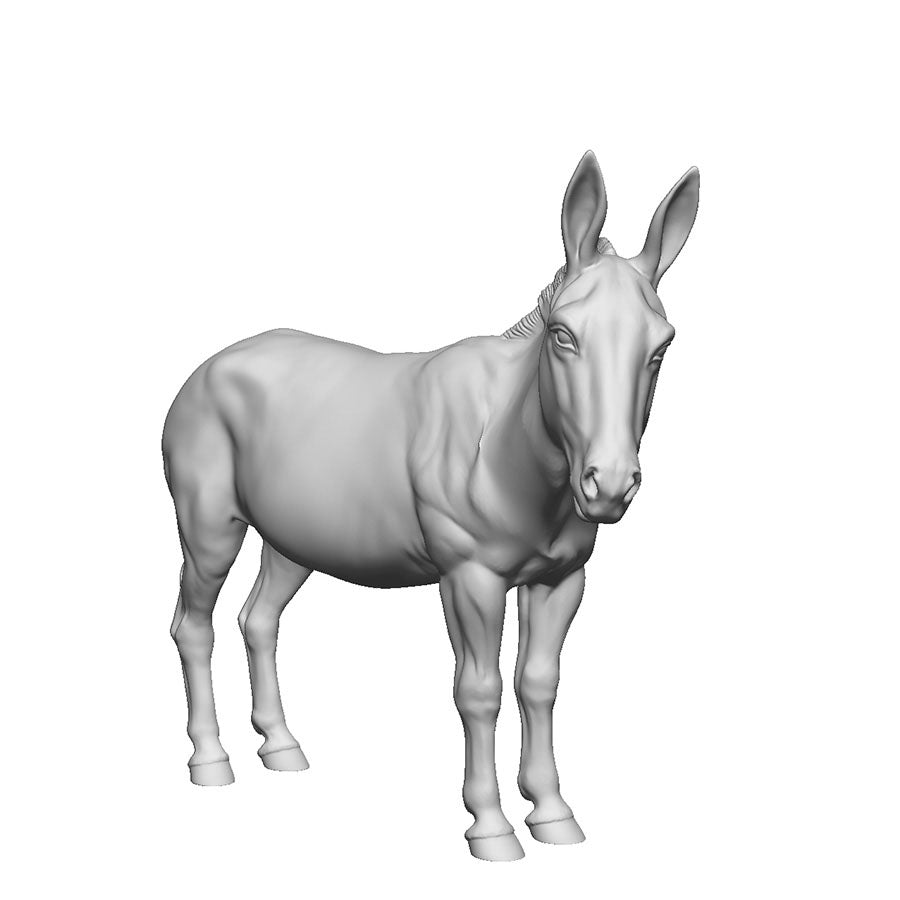 A donkey
