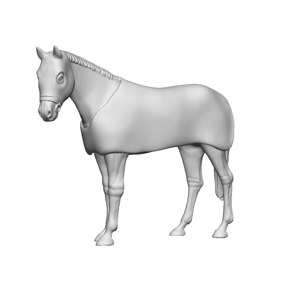 A race horse in transit