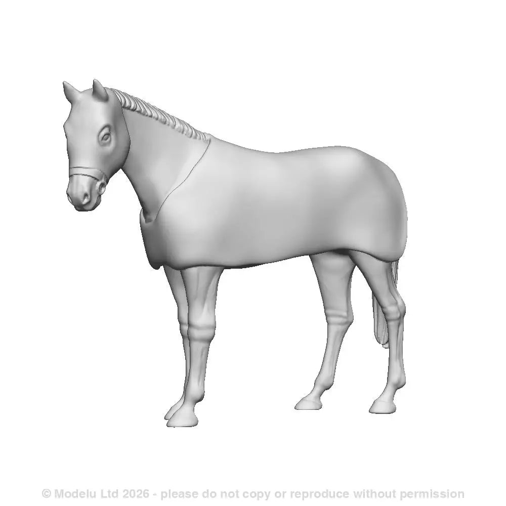 A race horse in transit