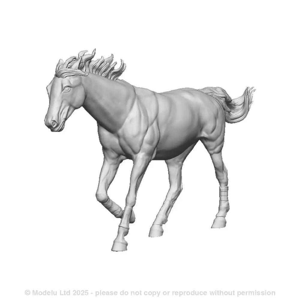 31302 Thoroughbred Horse Running