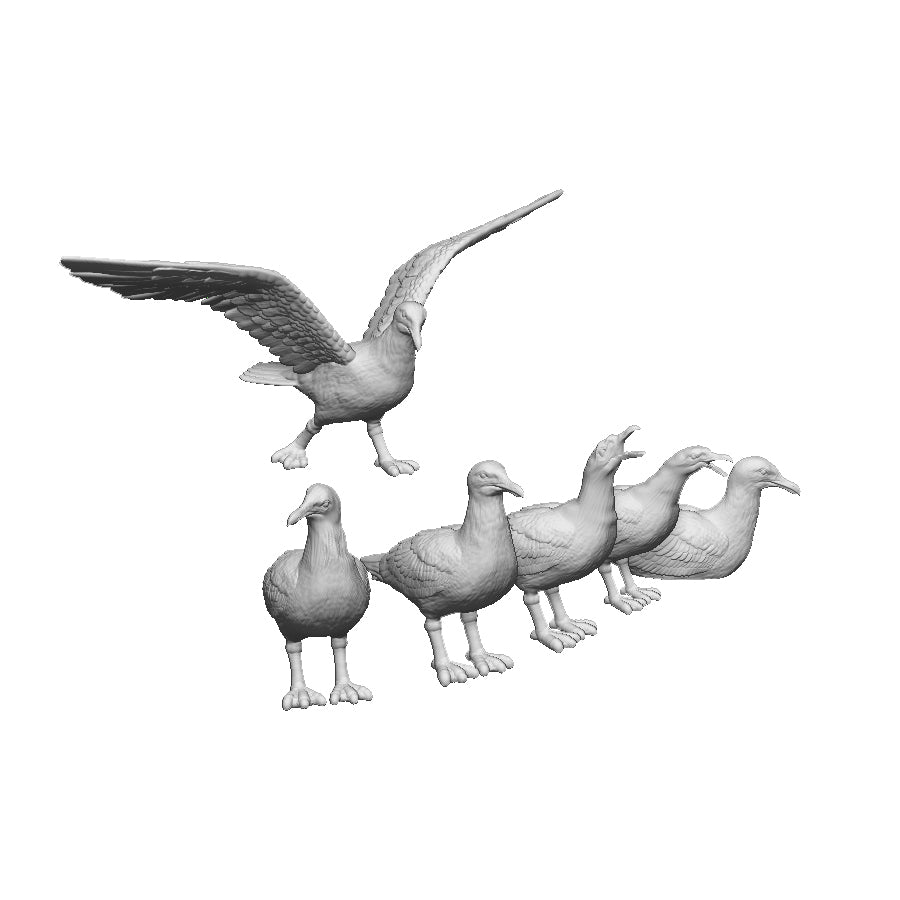 A pack of seagulls x12