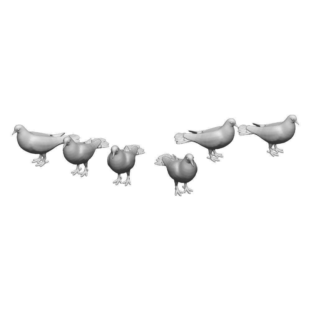 A pack of pigeons x10