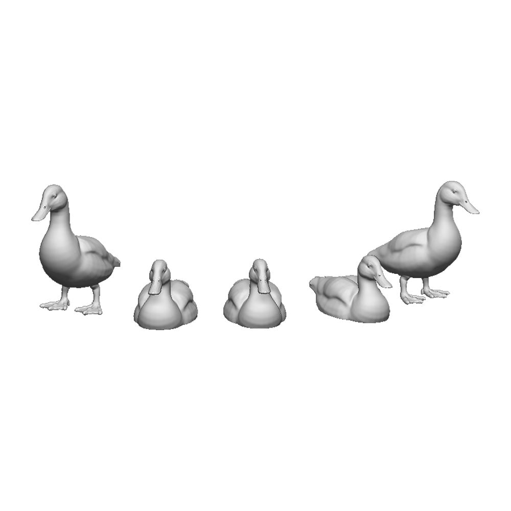 A pack of ducks x10
