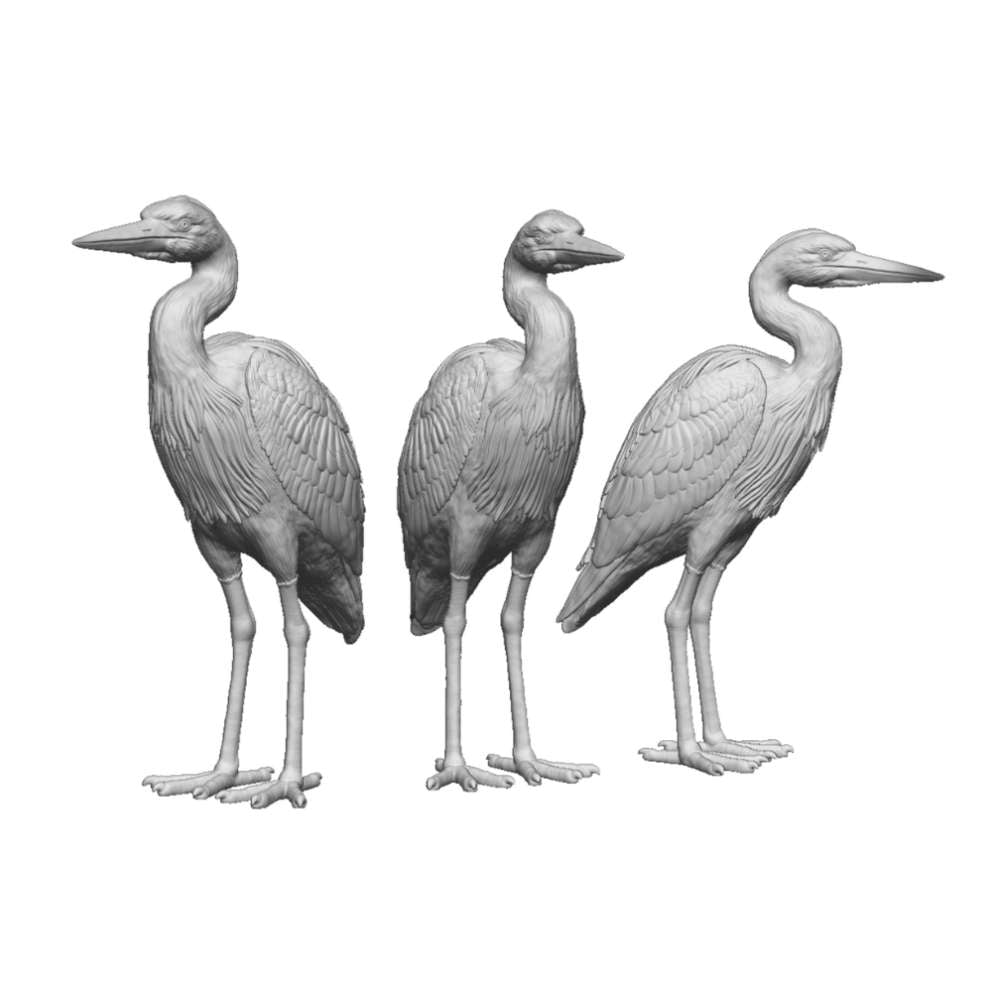 31405 Herons
