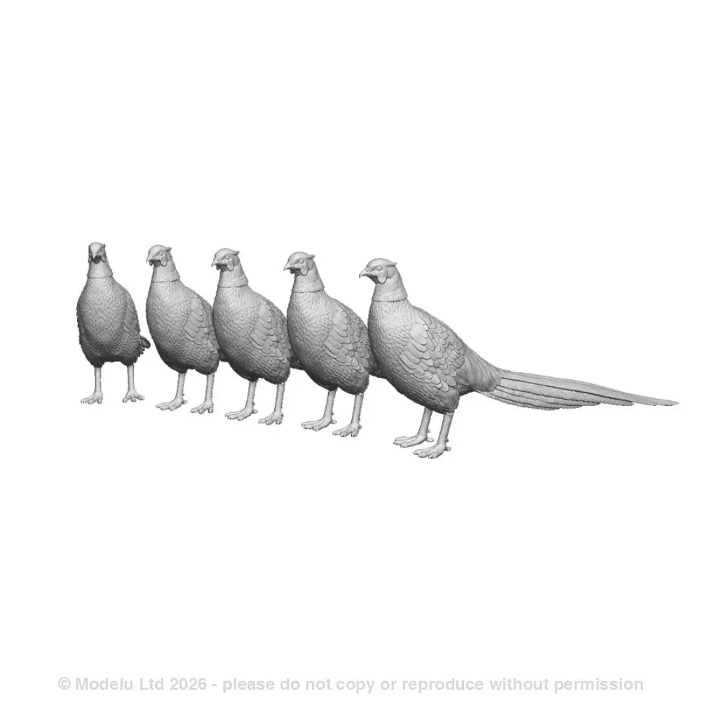 31406 Pheasants