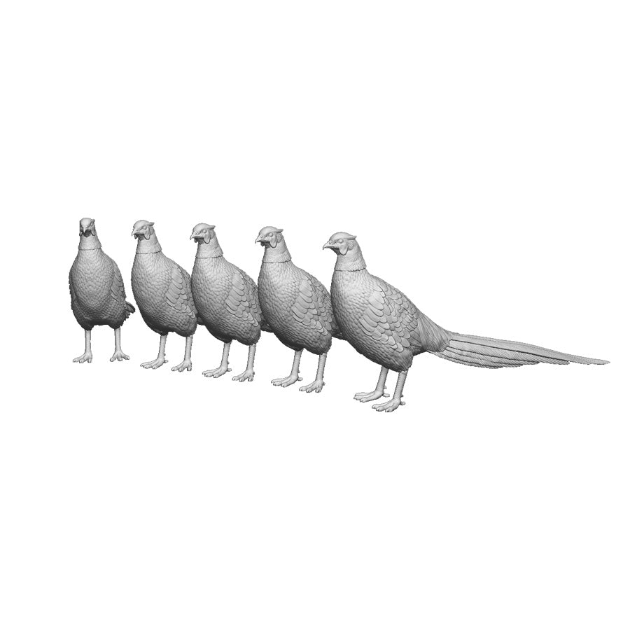 31406 Pheasants