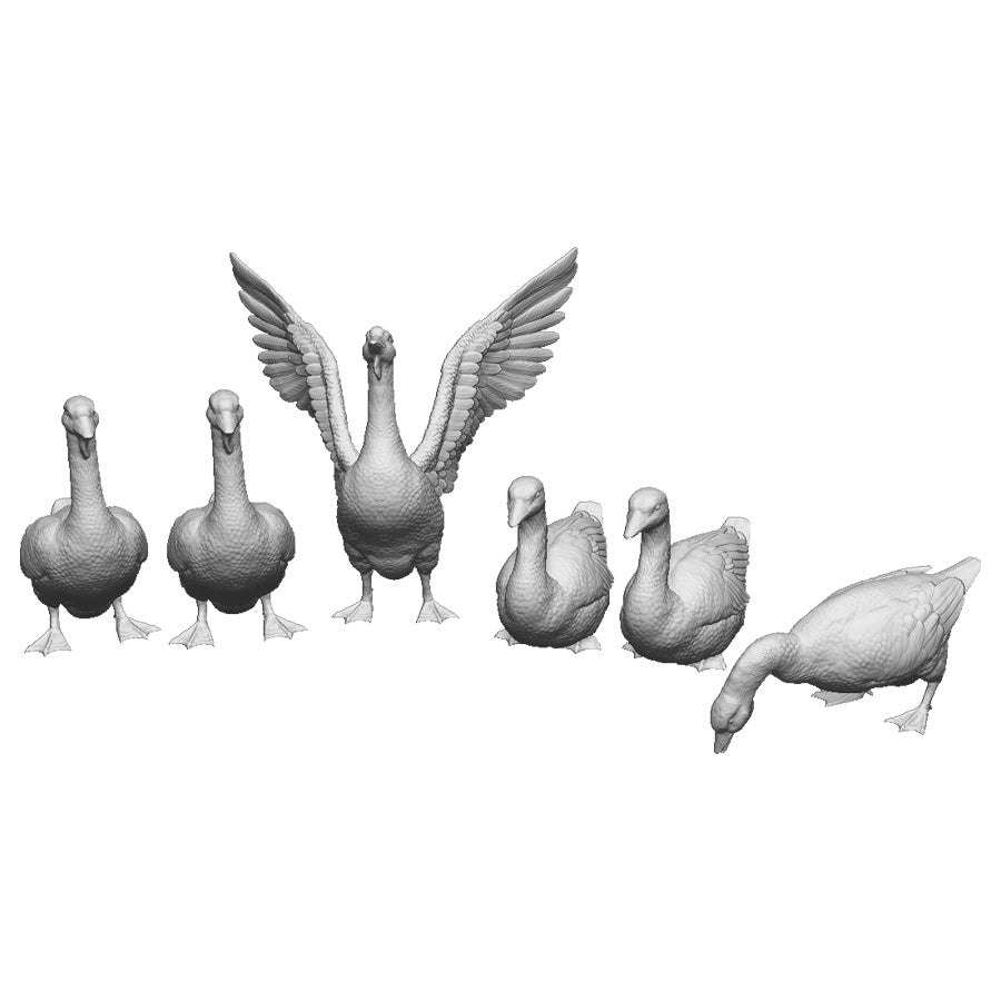 31409 Geese